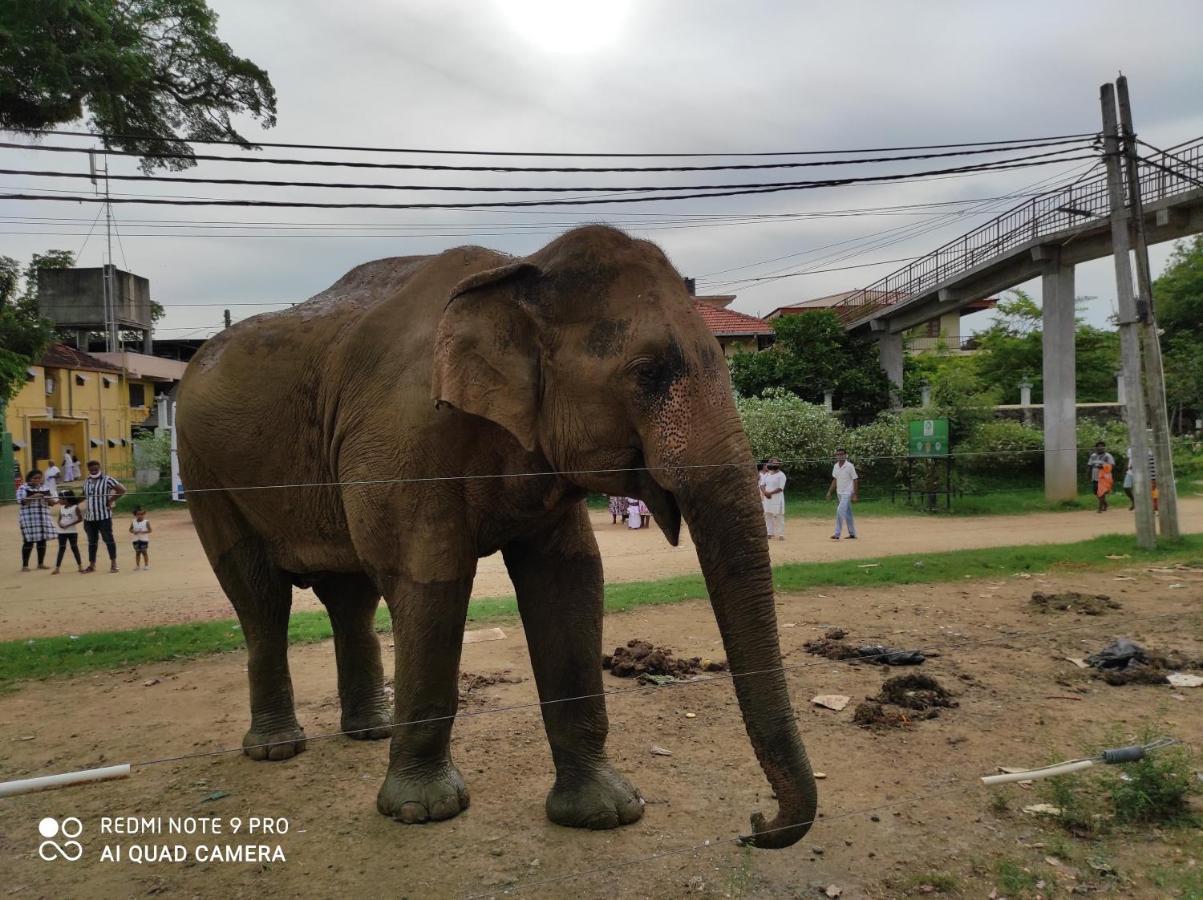 Geethani Tourist Home Polonnaruwa Bagian luar foto