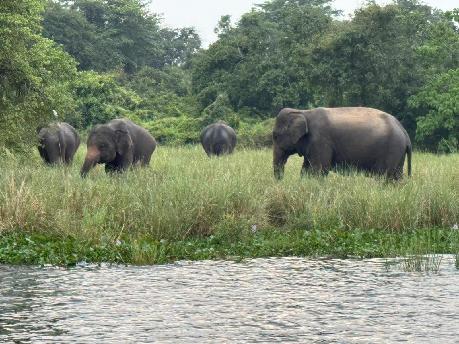 Geethani Tourist Home Polonnaruwa Bagian luar foto
